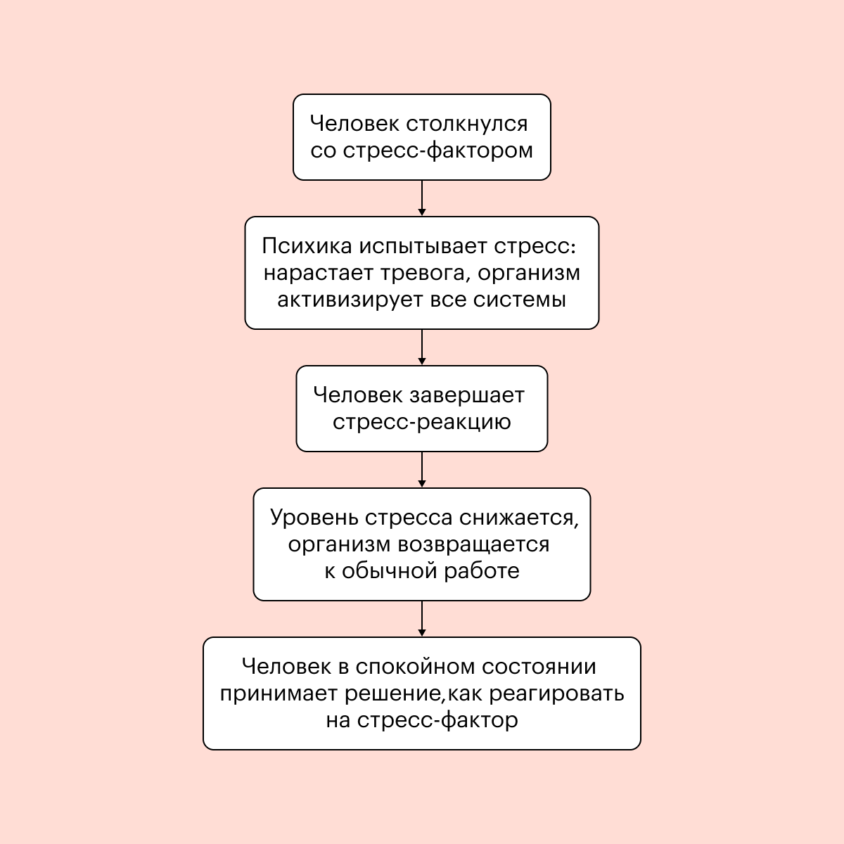 43266774щ9223.png