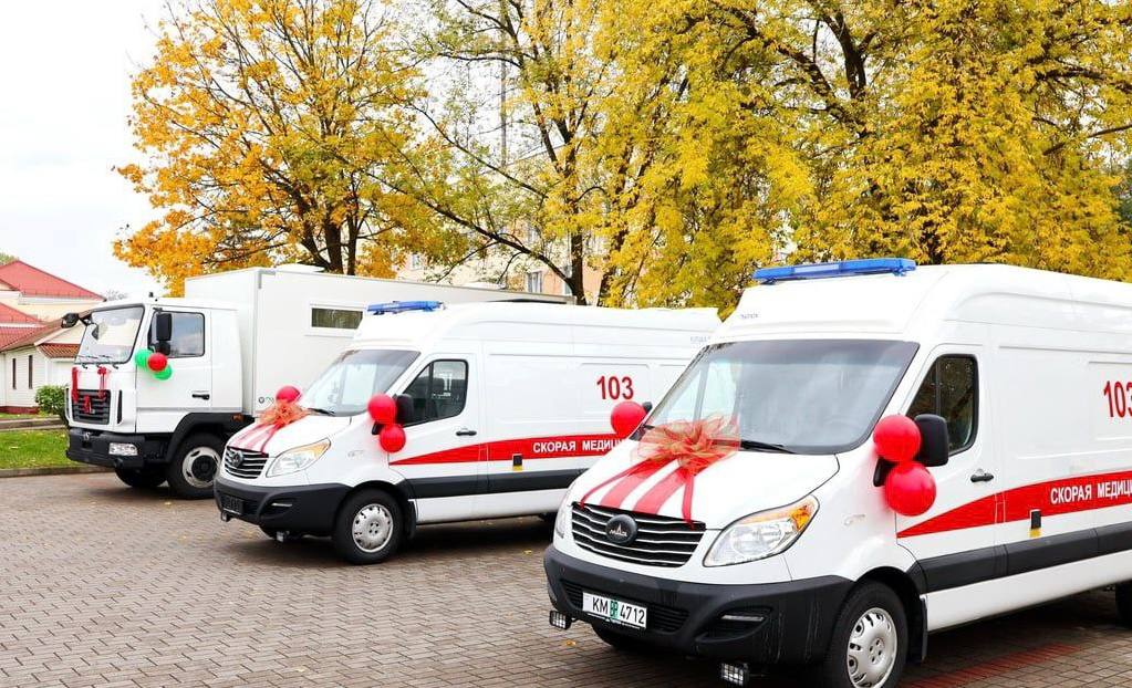 photo 5445144364205603386 y