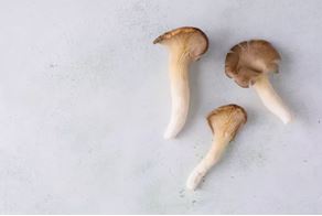 vitamin2